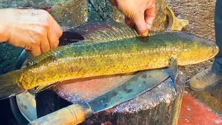 Giant Snakehead Sola Fish Cutting Live In Fish Market | Amazing Fish Skinning & Chopping Skills