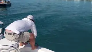 Justin Goliath grouper fishing Boca Grande