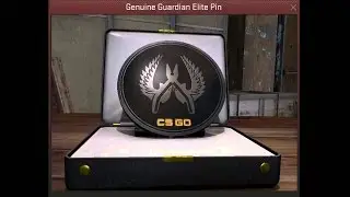 CS:GO | Opening pins ( Guardian Elite )