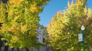 Awesome Autumn in Plumas County