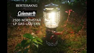 Berterang Berterang COLEMAN 2500 Northstar LP gas lantern