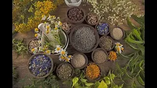 Ep. 67: Herbal Supplements for Horses: Do They Work?