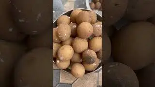 #Sapota#harvesting #ytshort#telugu#viral#video