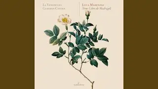 Madrigali á 5 voci, Libro 9 (Excerpts) : No. 20, Crudele, acerba