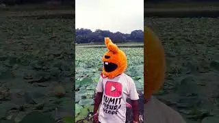 jharkhand first motovlogger with bunnyhelmet cover #firstvlogger #firstvlog #jharkhandvlogger #vlogs