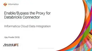 How to Enable/Bypass the Proxy for Databricks Connector in CDI/CDIE