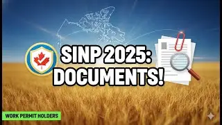 Квалифицированный работник SINP с действующим разрешением на работу: полный контрольный список до...