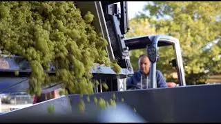 Wine Tour Video 2 - Harvest Final