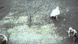 MOV02735