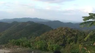 ブアトーン、メーホンソン、　Bua tong, Mae Hong Son