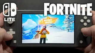 Fortnite on Nintendo Switch Lite #789