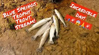 Incredible day of trout fishing @ Blue Springs Trophy Trout Stream! Giant rainbow trout!