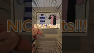 NICE Kit & Player SHINY! - EFL Sticker Collection - Day 30