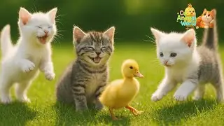 Funny Animal Sounds for Kids 🐾 | Talking Cats & Ducks AI Animation 4K