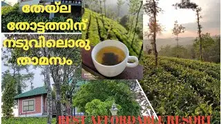 GREEN HILL ESTATE RESORT VAGMON ULUPPUNI | 4-STAR BEST AFFORDABLE RESORT | MINI WALK-AROUND VIDEO