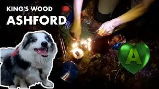 Ep01 No talking ASMR dog walk in woods - GoPro Dog POV - campsite vegan cooking - sleep & relaxation