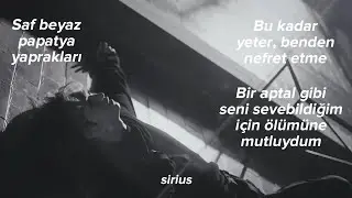 PENTAGON - Daisy (Türkçe çeviri)