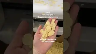 corn flake making machine corn chex machine organic cornflakes gold honey flakes production line