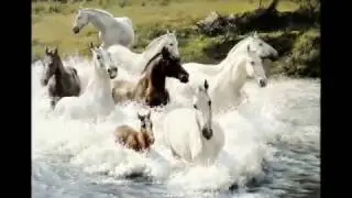 Jon Anderson & Vangelis ♥ THE ARMS OF ℒℴѵℯ The Alternate Generator 1986 Mp4