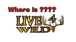 Where is Live4wild ?????