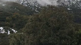 بدأت قناة 