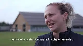 Slovenia dairy farmer