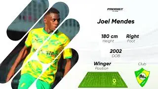 Joel Mendes (Season 2023-2024) - Prodigy Players