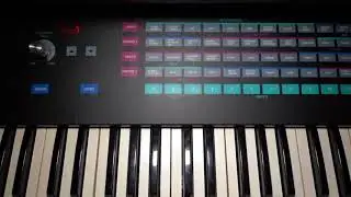 SAMPLING INTO the---Sequential Circuits Prophet 2000