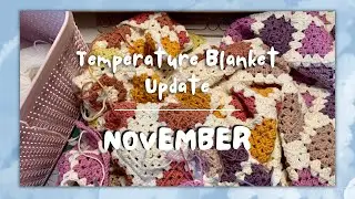 Granny Square Crochet Temperature Blanket | November Update