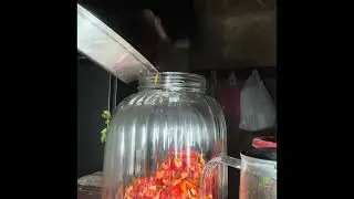 How to make King Chilly Pickle in a simple way. #kingchilly #rajamurcha