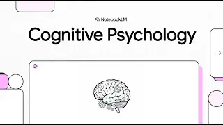 [Meta Learning: Day1] Cognitive Psychology in 5 minutes