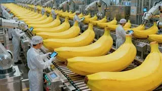 Inside a Banana Bread Factory From Fresh Fruit to Perfect Loaves Full Process