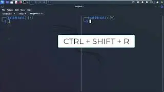 Руководство для начинающих по Kali Linux. Часть 2. Разделяйте и покоряйте окно терминала, как хакер