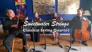 Sweetwater Strings Classical String Quartet
