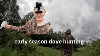 early season dove hunting