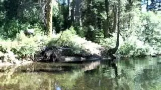 Swimming hole at Gray Eagle Lodge