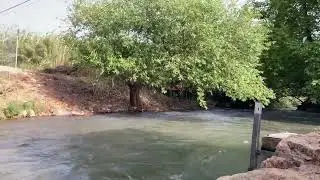 A beautiful river in the Golan Heights
