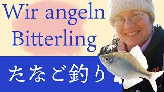 ＧＷ特別企画！！みんなで楽しく♥一緒にタナゴ釣りしませんか?