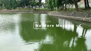 No More Morning   C