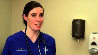 PFI 04 How To Help a Pet Lose Weight 1080p