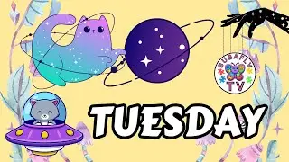 Bubafly TV 2025 - Tuesday Compilation