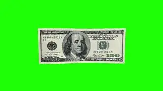 Dollar Green Screen || Green Screen Currency