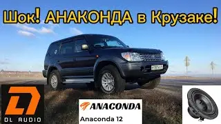 Анаконда поселилась в Крузаке! Шок! DL Audio удивляет!