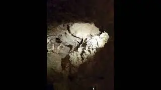 Tapolcai tavasbarlang #cave #boat #travel #vacation #explore