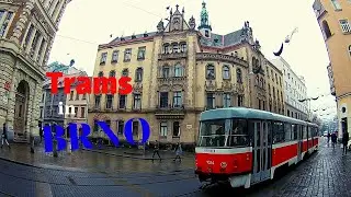 Trams in Brno - Czech Republic
