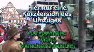 Fastnachtsumzug Hattenheim 2015