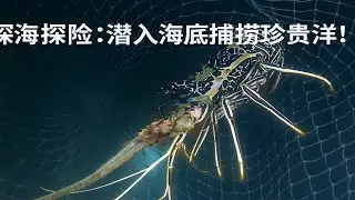 深海探险：潜入海底捕捞珍贵海鲜！