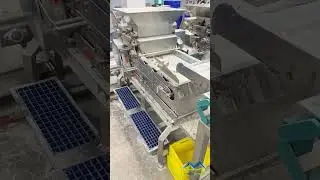 Dried Fruit Cube Cutting Machine &ndash; Precision & Efficiency in Every Cut  #manufacturing #driedfruits