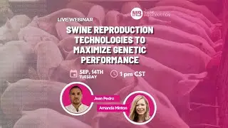 Swine Reproduction Technologies to Maximize Genetic Performance