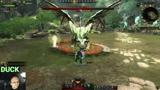 Dragon Hunt 🐉 Young Green Dragon Neverwinter Gameplay